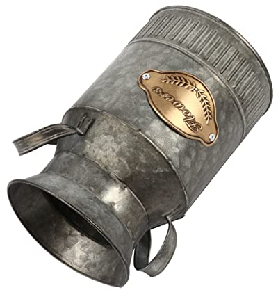 Ciieeo Pot De Fleurs Jardinière Vintage Seau à Fleurs pour Plantes Décoration De Bureau