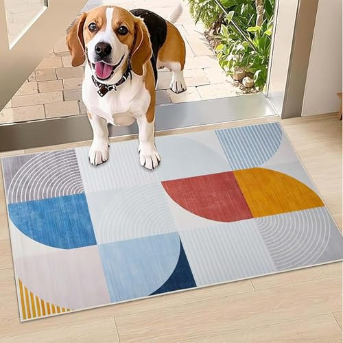 Hafaa Door Mat Indoor & Outdoor - Non Slip Heavy Duty Doormats - Stylish & Printed Mat - Perfect Dust Grabbing Shoes Scrapper Door Mats (Kira, 40cm x 60cm)