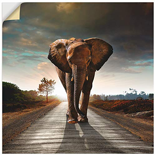 ARTland Wanddeko Wandtattoo selbstklebende Vinylfolie 70x70 cm Tiere Wildtiere Elefant Fotografie Braun Ein Elefant läuft auf der Straße T9QO