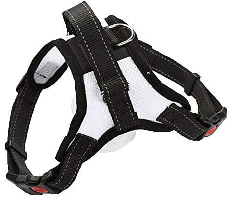 Weste Tape Haustier Hund atmungsaktiv komfortable Mesh-Leine (72-91cm,Weiß)