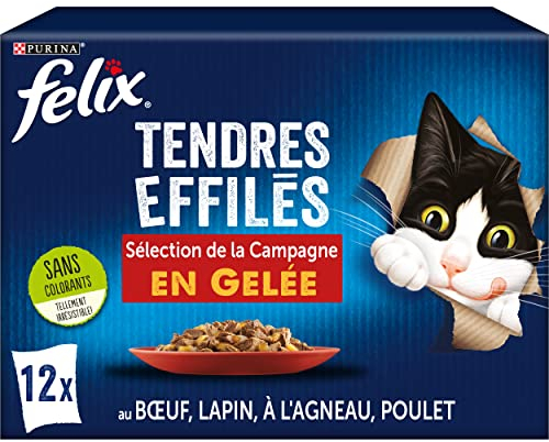 FELIX Zarte Gelee | ausgewachsene Katze | Auswahl an Huhn, Rind, Kaninchen, Lamm | 12 x 85 g | Frischebeutel