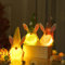 Bseical Ostern Wichtel Deko Mit Led-Licht,Osterdeko Wichtel Figuren Handgemachte,Hase Deko Tischdekoration,Ostern Wichtel Beleuchtet,Handgemachte Esichtslose Plüsch Puppen,Plüsch Osterhasen Zwerg (B)