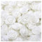 SHTGOI 500 Stück PE Schaumrosen 3.5cm Mini Künstliche Rosenköpfe Foamrosen Kunstrosen Kunstblumen Gefälschte Rosenstrauß für DIY Rosen Bär Valentinstag Hochzeit Party Home Dekoration Weiß