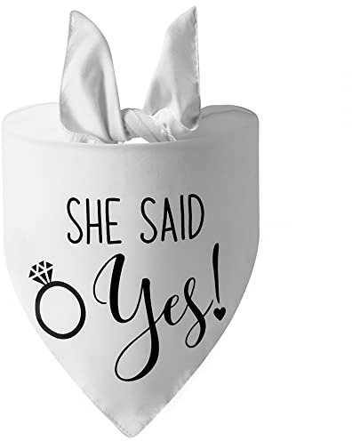 Hunde Verlobungs Bandana,Atmungsaktiver Hunde Hochzeits Foto Requisiten Schal Tragbar Waschbar Katzen Hochzeits Verlobungs Halstuch Mit Meinen Menschen Werden Heiraten Sie Sagte Ja