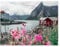 Jigsaw Puzzles for Adults 1000 Piece，Reine, Lofoten, Norway，Educational Games Brain Challenge Jigsaw Puzzles for Adult Kids（38x26cm）-B51