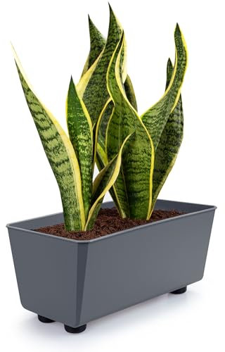 KONZEPT Macetero rectangular con patas – Jardinera pequeña de 4,2 l, maceta ideal para alféizar de ventana y plantas de interior