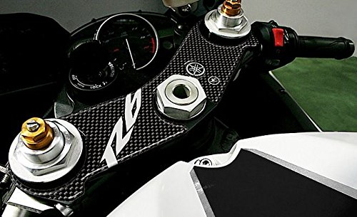labelbike - Adesivo in Resina 3D Decorazione e Protezione di Moto Piastra Forcella compatibile con YAMAHA R6 2006-2016