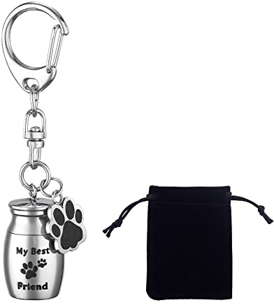 WEWAYSMILE Pet Urn Schlüsselanhänger, Memorial Schlüsselanhänger Asche Halter, Urne Mit Hundepfoten-Anhänger, Mit Samttasche, Für Menschliche Haustier-Nagel-Haar-Zähne