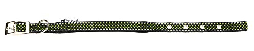 Collare per Cani Riflettente Imbottito DAYTONA DELUXE C15/35, Regolabile, Fibbia in Metallo, Nero-Verde