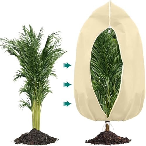 Winterschutz für Pflanzen 120x180cm winterschutz für kübelpflanzen,Beige1St | PHUSTJKL Frostschutz, Atmungsaktiv Wiederverwendbar Pflanzenschutzhaube mit Reißverschluss Zugband für Balkonpflanzen