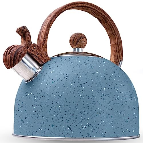 La Moustache - Hervidor de Agua Silbante【2,5L】de Acero Inoxidable para 10 Tazas | sin BPA, Ø23 cm Apto para Inducción, Gas y Vitrocerámica con Asa Ergonómica Antiquemaduras, Diseño Vintage (Azul)