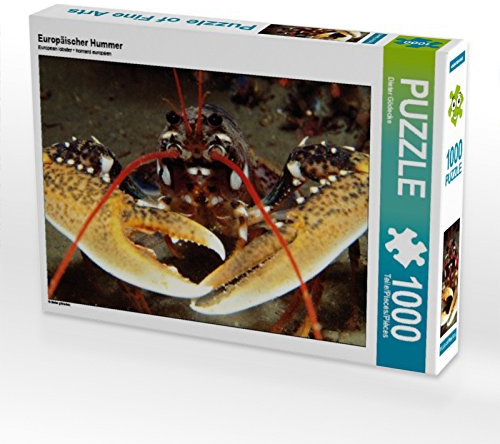 Puzzle · Europäischer Hummer | 1000 Teile · Lege-Größe 64 × 48 cm · CALVENDO Puzzle