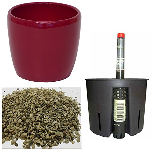 happy nature Set 4 teilig für Erdpflanzen Keramik Blumentopf Venus weinrot Ø 16cm H 14 cm Kulturtopf 13/12 Wasserstandsanzeiger WA 12 Erdersatz