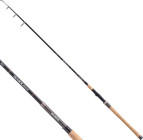 Balzer Diabolo Fury Tele 40 3,60m 10-40g