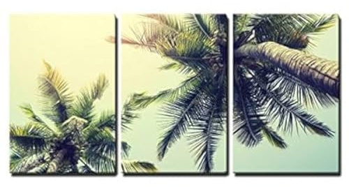 PYBILDCYJ Wohnkultur Design Dreiteiliges Leinwandbild Set Palme auf einem tropischen Strand Hochwertiger Kunstdruck auf Keilrahmen Wanddekoration für Wohnzimmer 60cmx90cm x3