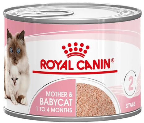 Kunglig kanin ultramjuk mousse mor och babykatt våt mat – för ammande mödrar och avvänjning kattungar – 12 x 195 g burkar