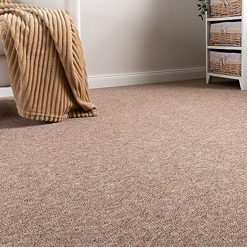 Steffensmeier Schlingen Teppichboden Meddon XL Meterware | Auslegware für Flur Büro | 1m 2m 3m 4m 5m breit! | Beige, Größe: 200x500 cm