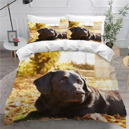 MEVASA Bettwäsche 135x200 Labrador Retriever Bettwäsche-Set 3 Teilig 3D-Druck Süßer Welpe Bettbezug 135x200 mit Reißverschluss Weiche Mikrofaser Kinderbettwäsche mit 2 Kissenbezug