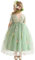 Fiore Vestito per Ragazze Abito in Tulle Abito Pizzo Indietro Principessa Compleanno Tutu Tulle Vestito Cerimonia Elegante Bambina Festivo Damigella d'Onore Festa di Nozze Abito da Ballo 2-8 Anno