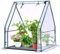 QAUUCP Serre de Jardin Mini Serre for Table intérieure et extérieure, Maison Verte Portable avec Coussin étanche for la Culture de Petites Plantes Serre de Balcon(36 x 36 x 42 inch)
