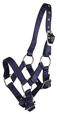 QHP Fohlenhalfter Halfter Fohlen Nylonhalfter 4 Fohlengrößen 6 Farben (Pony Fohlen, blau)