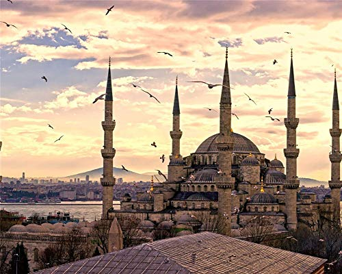 Diamond Painting Kinder Istanbul Stadt Landschaften Mosaik Bilder Leinwand Moderne Kunstwerke Geschenk Wohnkultur Runder Bohrer 40X50Cm