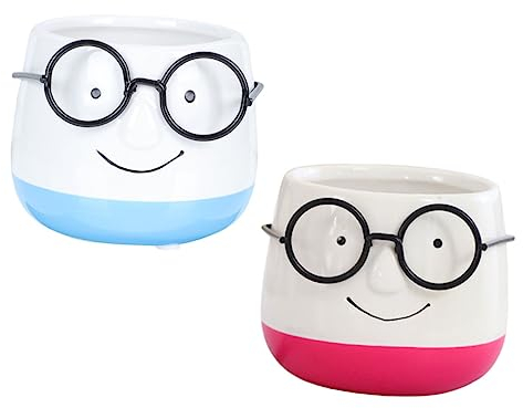 ABOOFAN 2 Pièces Pot De Fleur Jardinière Design Lunettes Bac à Plante De Bureau Petite Jardinière Bonsaï Pots De Fleurs De Jardin Cache-Pot à Lunettes Bol Succulent Simple Céramique