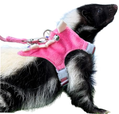 Anelekor Frettchen-Geschirr und Leine, Set für Kleintiere, Weste mit sicherer Glocke, Dinosaurier-Form, Laufkleidung für Baby, Kaninchen, Meerschweinchen, Teetasse, Chihuahua, Maus und andere kleine