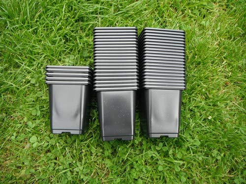25 x 9 cm Square Garden Plastic Plant Pots 25 x 9 cm Pots