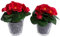 Botanic-Haus künstliche Frühlingsblume Mini-Begonie mit 5 Stielen im Glas (2 Stück) (rot)