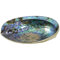 Coco Papaya Coquille d'Ormeau Arc-en-Ciel/Abalone Naturelle 12-14cm