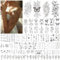 Acevegue 61 Fogli Tatuaggi Temporanei, Fiori Farfalla Ali Conchiglia Nero Tatuaggi Finti per Donna e Ragazze, 3D Impermeabili Tatuaggio Temporaneo Tattoo Stickers per Bambini Adulti