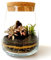 Kit de terrarium avec récipient en verre, Mini jardin, idée de cadeau, DIY Kit