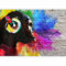 murando - Papier peint panoramique animal 400x280 cm - Revêtement mural décoration salon - Design moderne - Rose gris violet beige - Brique coloré singes musique animaux adolescent g-A-0236-a-a