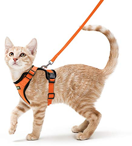 rabbitgoo Katzengeschirr mit Leine Ausbruchsicher Katzenleine Kitten Welpengeschirr Verstellbar Cat Harness Weich Brustgeschirr für Katzen kleine Hunde Kaninchen Reflektierend Streife Orange XS
