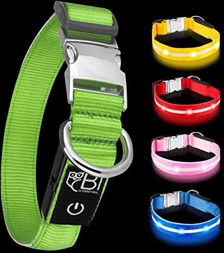 Leuchthalsband für Hunde [Das Original] Leuchtendes LED Hundehalsband zum spazieren gehen auch im Dunkeln- sehr Lange Akkulaufzeit – Sicher Dank hochwertigem Metallverschluss (S (28-40 cm), Grün)