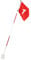 Dilwe Pin Flags, 5 Sections Removable Putting Green Flagpole and Hole Cup Set Practicing Accessory with Red Flag