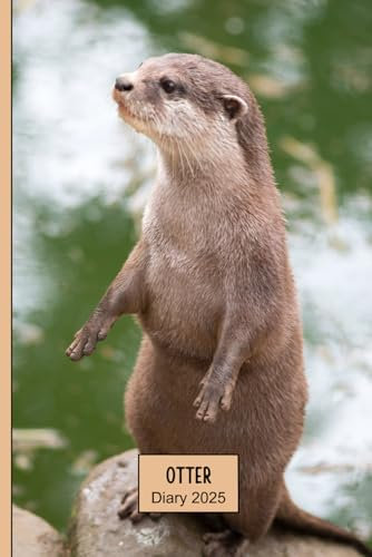 Otter Weekly Diary 2025: A gorgeous Week to View Planner (spread across 2 pages). It's an ideally sized (6x9) journal in a large print format. ... pages. Great gift for friends and family.