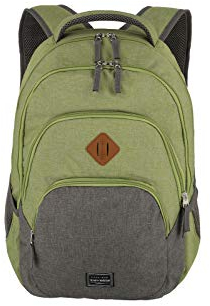 travelite Handgepäck Rucksack, Laptop Rucksack 15,6 Zoll, BASICS, Daypack, Tagesrucksack mit vielen Fächern, 45 cm, 22 Liter