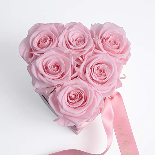 ROSEMARIE SCHULZ Heidelberg Mama Infinity Rosenbox Herzform 6 Infinity Blumen Satinband (Rosa, 6 Rosen Mamma Mia)