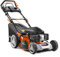 Anova Cortacespes Star CC251TE 5CV 173CC 51CM