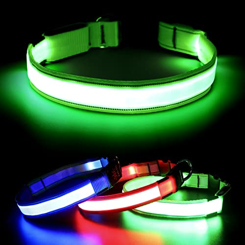 Visinite Leuchtendes Hundehalsband, LED-Hundehalsband, wiederaufladbar, wasserdicht, reflektierendes Hundehalsband, vollständig verstellbar, blinkend, für mittelgroße und große Hunde, Grün, Größe M