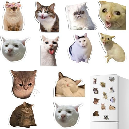 Gxdamxz Katzen Meme Fridge Magnet Kühlschrank Set, Kühlschrankmagnete Süß Lustig, 12 Stück