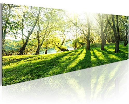 decomonkey Bilder Wald 120x40 cm 1 Teilig Leinwandbilder Bild auf Leinwand Vlies Wandbild Kunstdruck Wanddeko Wand Wohnzimmer Wanddekoration Deko Natur Landschaft