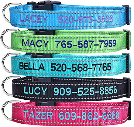 Personalisierbares Hundehalsband, besticktes Halsband mit Namen und Telefonnummer, 4 verstellbare Größen, Schnellverschluss-Schnalle und D-Ring (massiv)