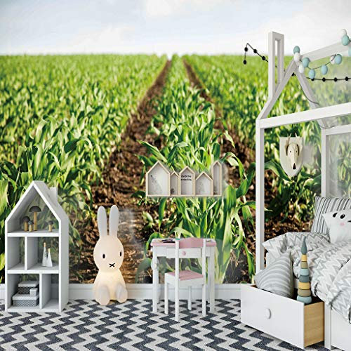 Vlies Fototapete Grün&Bauernhof Größe:W200CMxH140CM Tapete, Dekoration, Wandtapete, Wandbild, Wandbelag, Designtapete