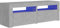 vidaXL TV Schrank mit LED-Leuchten Lowboard Fernsehschrank Fernsehtisch Sideboard HiFi-Schrank TV Möbel Tisch Board Betongrau 120x35x40cm