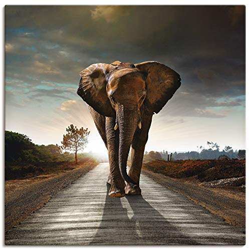 ARTLAND Wanddeko Leinwand Bilder Wandbild 70x70 cm Tiere Wildtiere Elefant Fotografie Braun Ein Elefant läuft auf der Straße T9QO