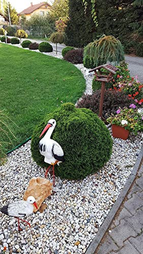 4myBaby Best for Garden Flusskiesel umweltfreundlich Kies Splitt Natur bunt für Beete, Wege & Gartenteiche Zierkies 10 kg-500 kg zur Auswahl (500kg)