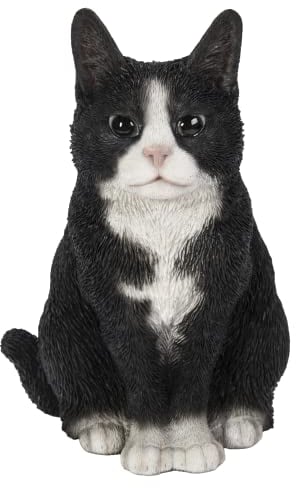 Vivid Arts Sitting Cats (Black/White Cat)